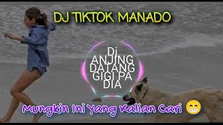 DJ Tiktok Manado ANJING DATANG GIGI PA DIA 🐶🐶🐶 || dj remax tiktok manado 2022