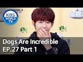 Dogs are incredible | 개는 훌륭하다 EP.27 Part 1 [SUB : ENG,CHN/2020.05.27]