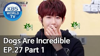 Dogs are incredible | 개는 훌륭하다 EP.27 Part 1 [SUB : ENG,CHN/2020.05.27]
