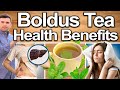 BOLDUS TEA HEALTH BENEFITS - Best Ways To Take Uses, Side Effects Contraindications