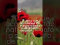 “Tudo o que acontece é tão natural quanto o surgimento de uma flor na primavera.”