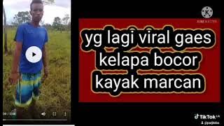 viral kelapa bocor kek marjan mau nonton lihat link