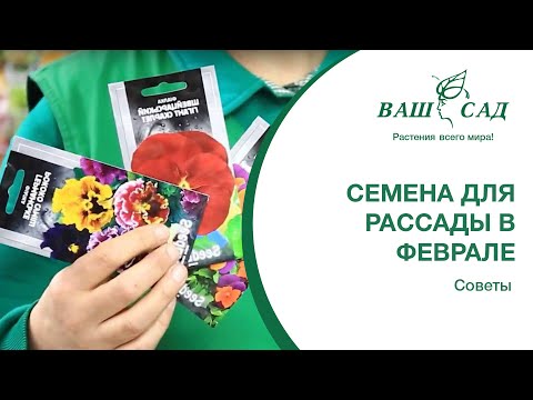 Вопрос: Какую рассаду можно сажать в феврале 2020 года?