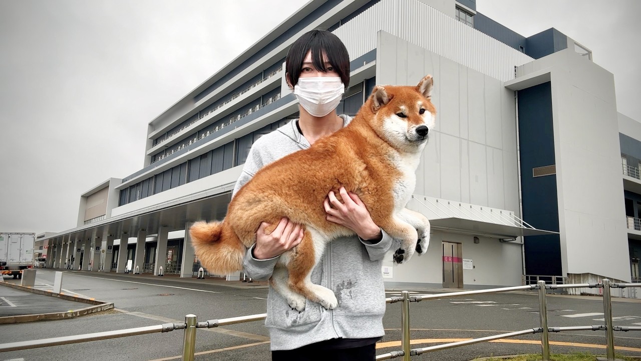 愛犬の身体に皮膚がんのような腫瘍が見つかり緊急で病院に向かいました。