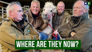 Where are Rob and Dave from Springtime on the Farm now? What happened to them?