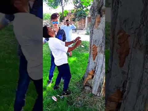 Muzammil Hussain Tiktok Video