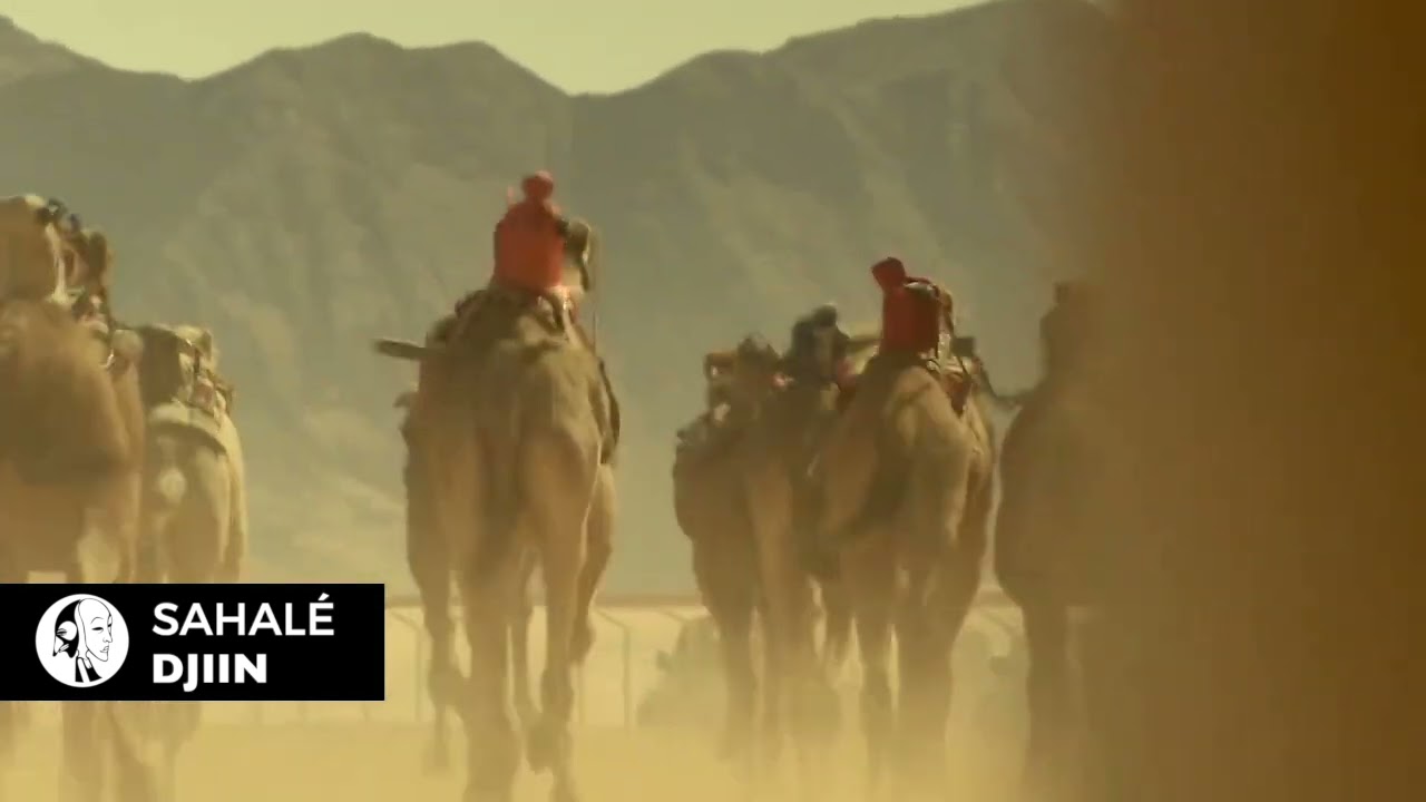 Sahalé - Djiin | Timeless Downtempo Masterpiece