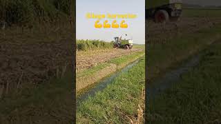 Silage Harvester Amazing Corn 🌽 Cutting Agri Resimi