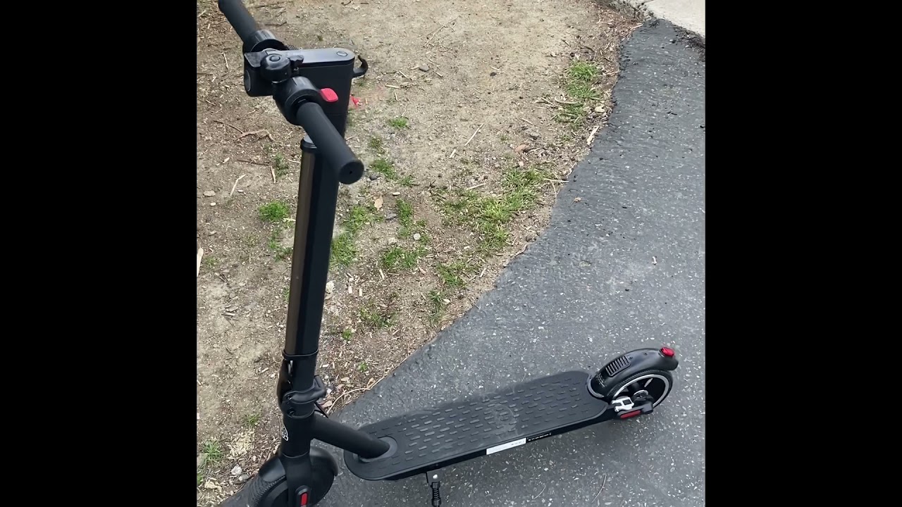 Plant and Pollination Vlog