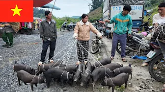 Traditional Market On The Highest Mountain in Vietnam | CAO SON MARKET