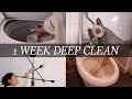  deep clean my entire home w me in 1 week