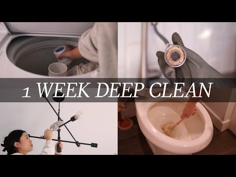 🧼 deep clean my entire home w/ me (in 1 week)
