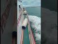 Perjalanan menuju pulau tikus #shorts