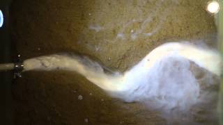 Turbidity current in a sinuous channel