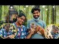 Hyderabad cheapest  biggest pet shop vlog  dogs catsbirds fish guinea pigs