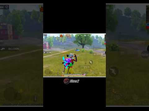 Noob To Pro With @Meww2