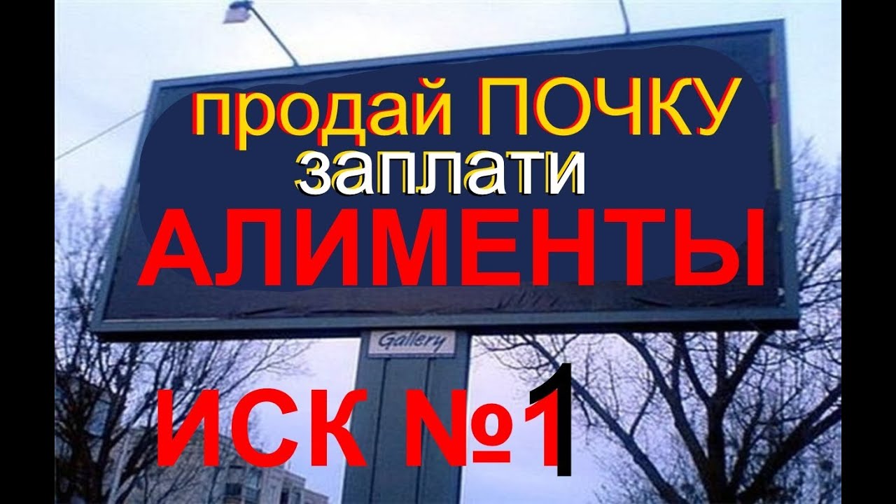 Исковое заявление самостоятельно 44