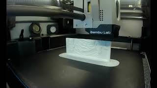 Lithophane 4 Sided Lamp made using a Bambu Labs X1C 3D Printer