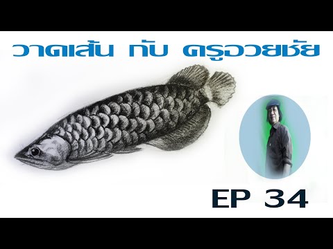 วาดเส้น กับ ครูอวยชัย EP 34 วาดปลามังกร