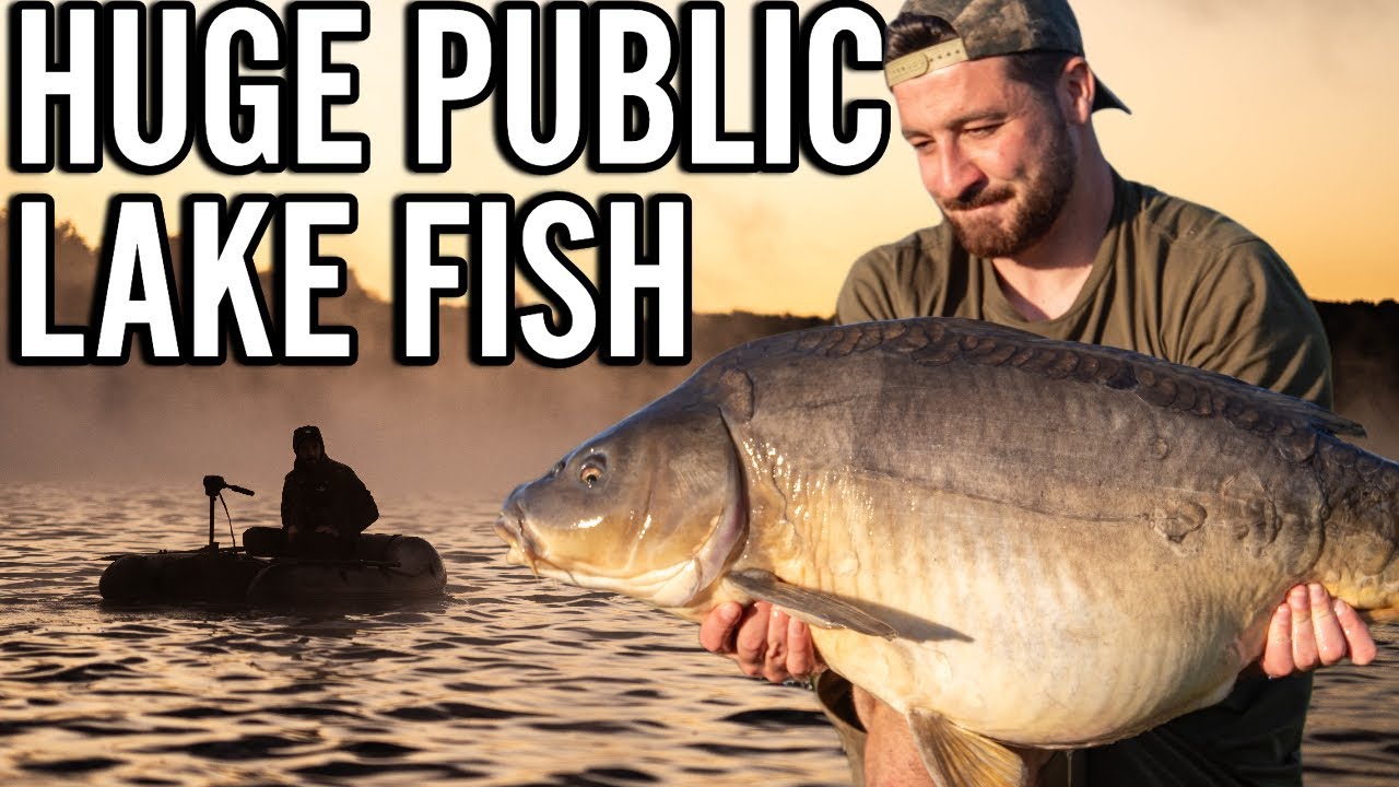 SOLO FISHING FOR BIG CARP - Public Lake Fishing in France