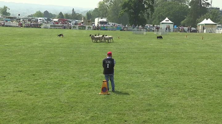 Ricky Hutchinson Brace Demonstration at the 2018 S...