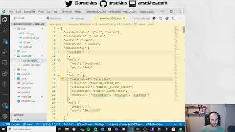 Hacking on a Twitch bot in Go, Part 1