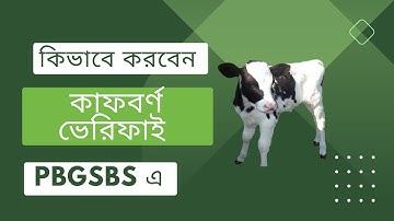 Calf Born Verification in PBGSBS