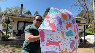 WSZYNDF Travel Cat Print Umbrella Review!