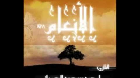 سورة الأنعام   تلاوة القارئ أحمد سعيد العمراني