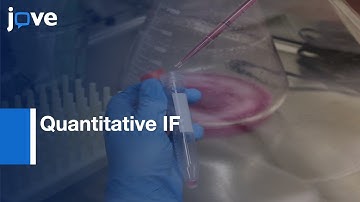 Quantitative IF to Measure Global Localized Translation | Protocol Preview