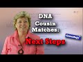 AncestryDNA Cousin Matches: Next Steps