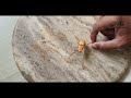 How to make a spider  robin parambath  spider with polymer clay