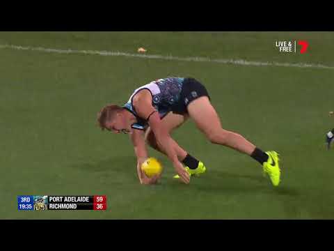Wingard and Wines show promising signs