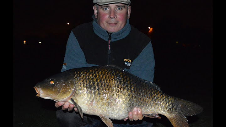 Nocna zasiadka na Tamizie - Chertsey 20.08.2015