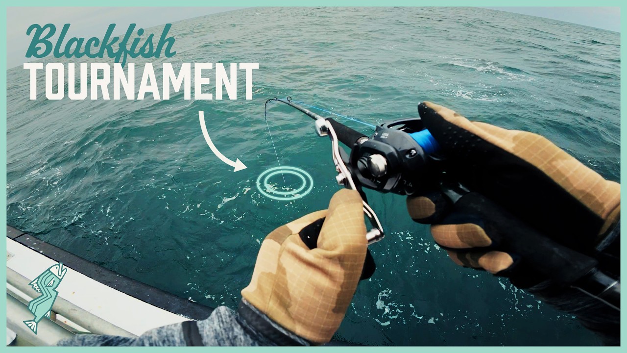 Braving the Cold to Fish a Blackfish Tournament! | NJ Fishing Club Blackfish Superpool