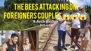 🐝🐝 Bees Attacked on Foreigners Couples at Shri Lanka 9 Arch Bridge 😱 must watch Dangerous situation