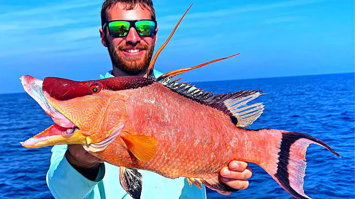 Flared Up! Hogfish Offshore Tampa Bay (Catch and Cook)
