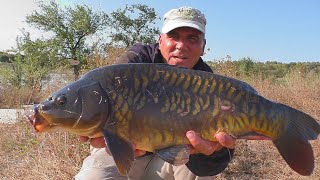 Рыбалка на боковой кивок . Ловля карпов , амура , которые разгибают крючки. My fishing