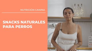 Snacks naturales para perros