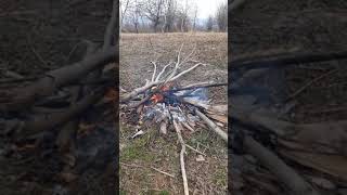 Kayıp Meslekler Askılık Baston Ceviz Silkme Değneği Yapım. İnegöl Kurşunlu