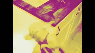 Rip green fag