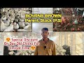 Bovans brown day old chicks available  bookings are open  poultry farming in pakistan