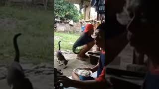 aw aw aw#lucu #ngakak #lucubanget