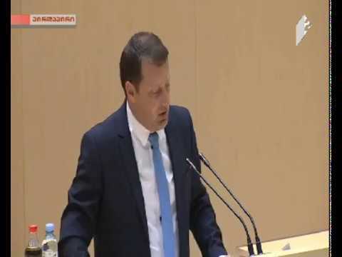 ლადო მგალობლიშვილი   საქართველოს პარლამენტის პლენარული სხდომაზე