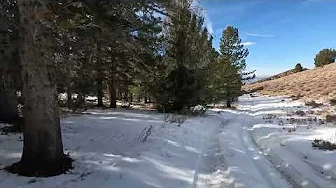 Ice GX011940 1