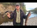 Рыбалка охота северный урал - ивдель-ушма 2018