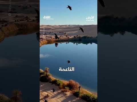 بحيرة قبر عون
