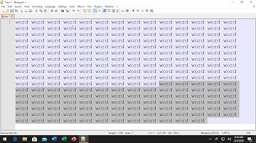 Enable Word Wrap Notepad++