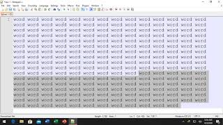 Enable Word Wrap Notepad++ screenshot 5