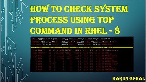 How to Check System Process Using Top Command in RHEL-8[Hindi] By Karun Behal